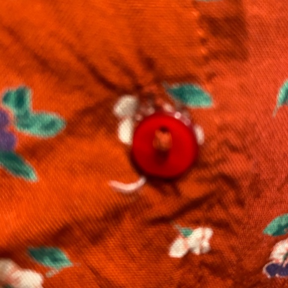 Ginger - Picture 4 of 5